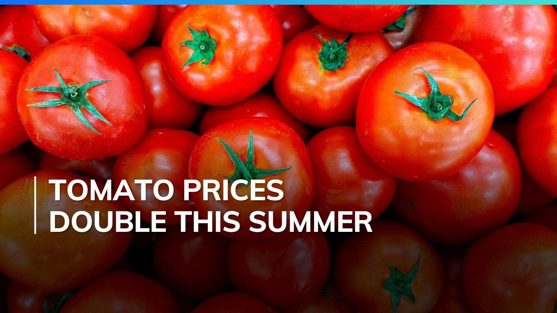 Heatwave in India: Tomato prices rise amid intense heat