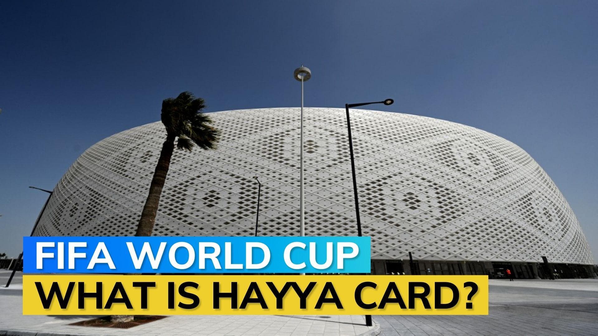 Qatar World Cup: Accommodation available for fans starting from $80