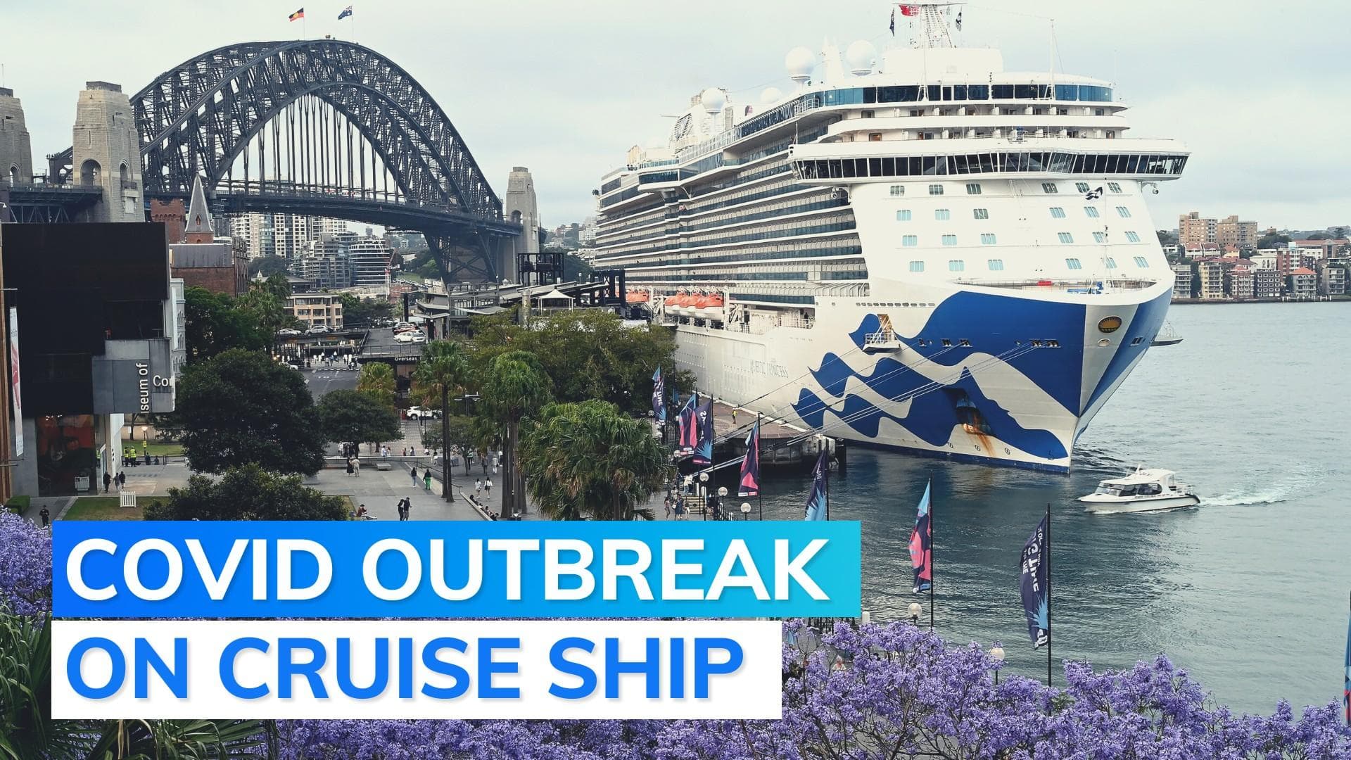 Cruise ship carrying 800 Covid patients docks in Sydney