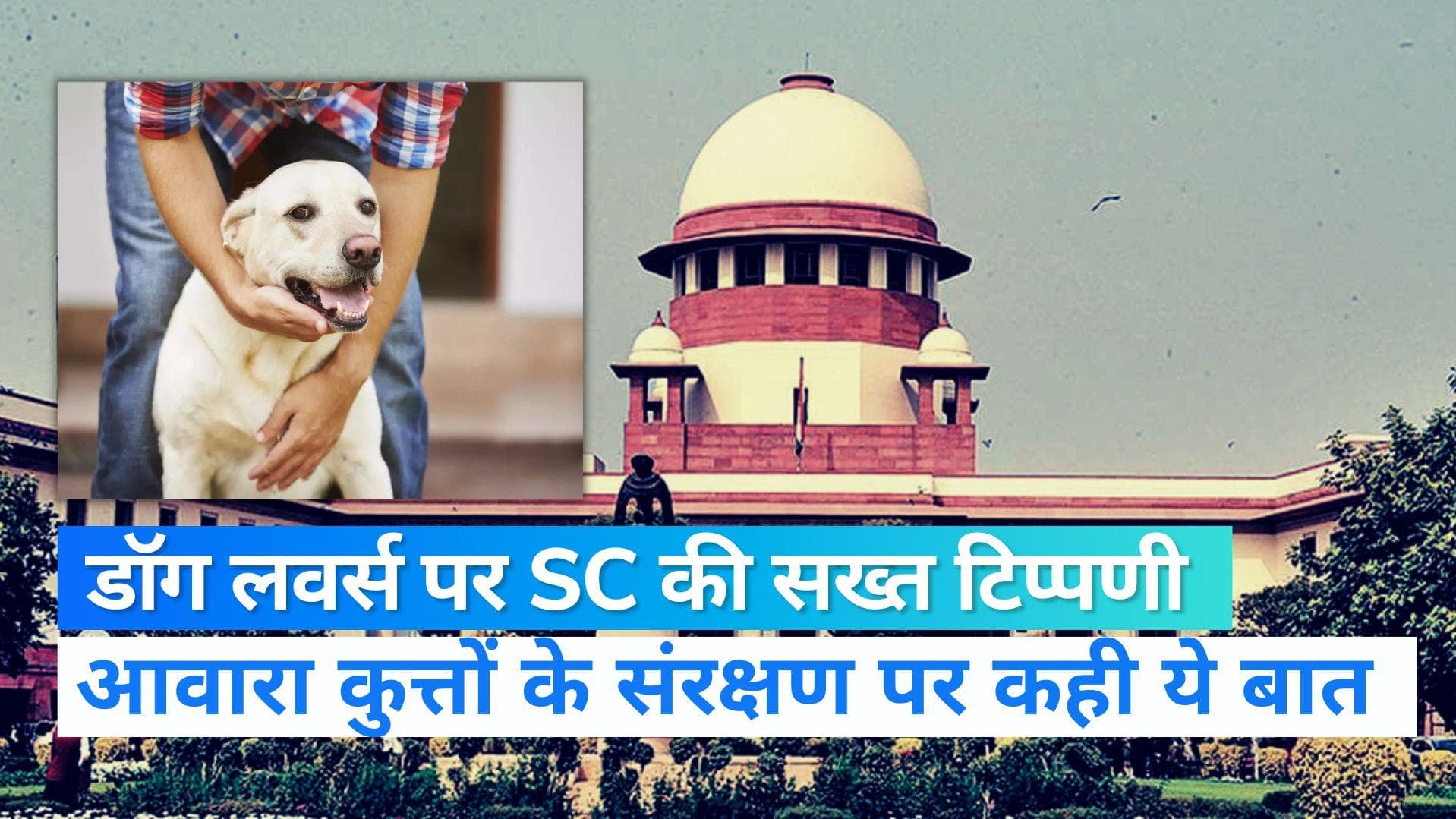 Supreme Court News: आवारा कुत्तों पर सुप्रीम कोर्ट ने की सख्त टिप्पणी, Dog Lovers को लेकर कही ये बात