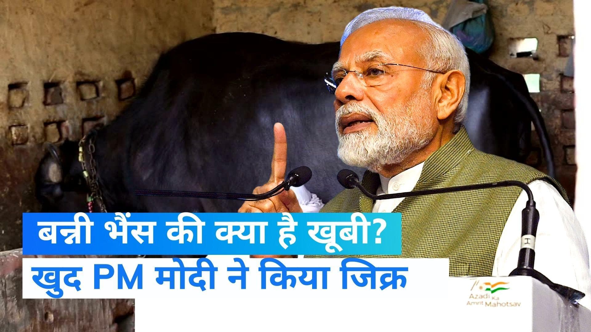 Banni Buffalo: PM मोदी ने सुनाई 'बन्नी' भैंस की कहानी, बेहद दिलचस्प है किस्सा