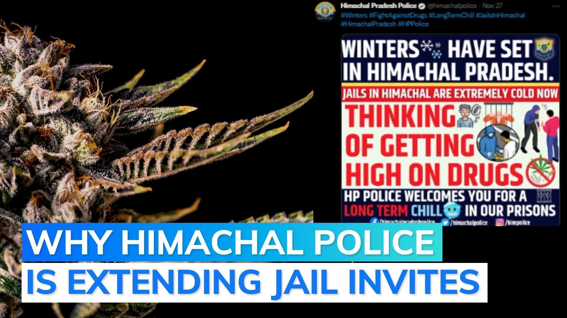 'Long chill' in jail: Himachal Pradesh Police's warning to drug users