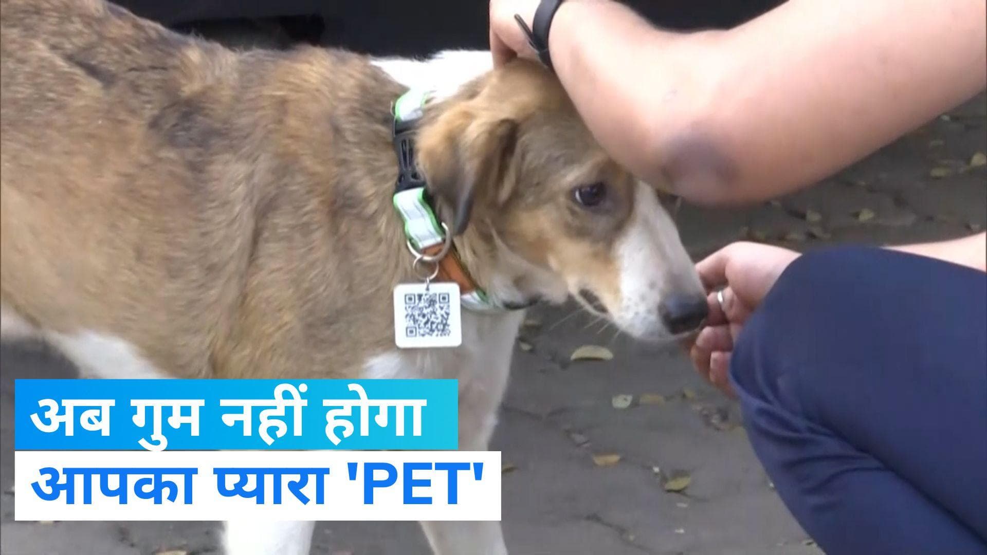 QR Code for Animals: इंजीनियर का अनोखा कारनामा, आपका डॉगी अब नहीं होगा गुम 