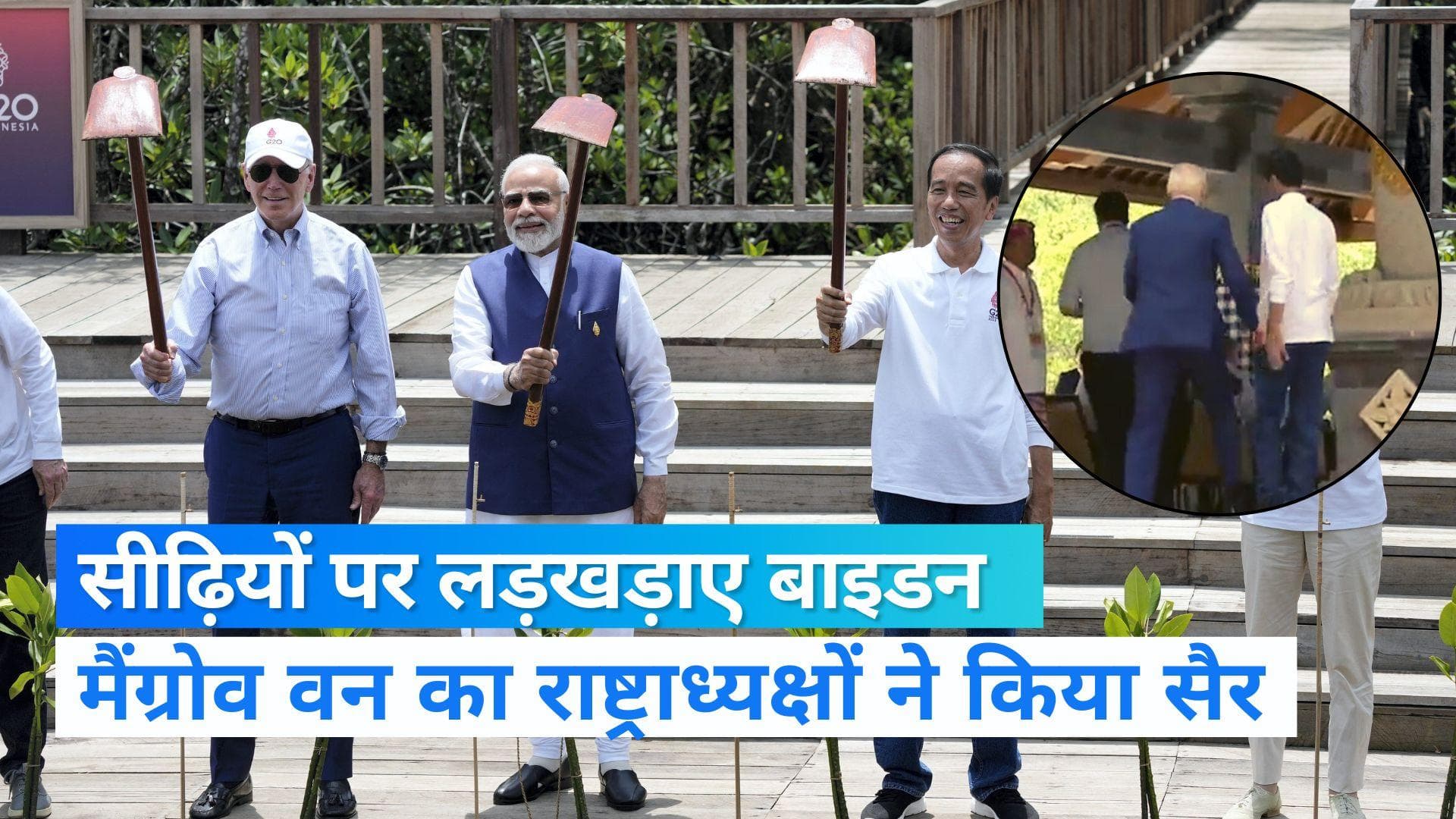 G-20 summit: क्लाइमेट चेंज को समझने बाली के मैंग्रोव वन को देखने पहुंचे राष्ट्राध्यक्ष, जानिए इनकी खासियत