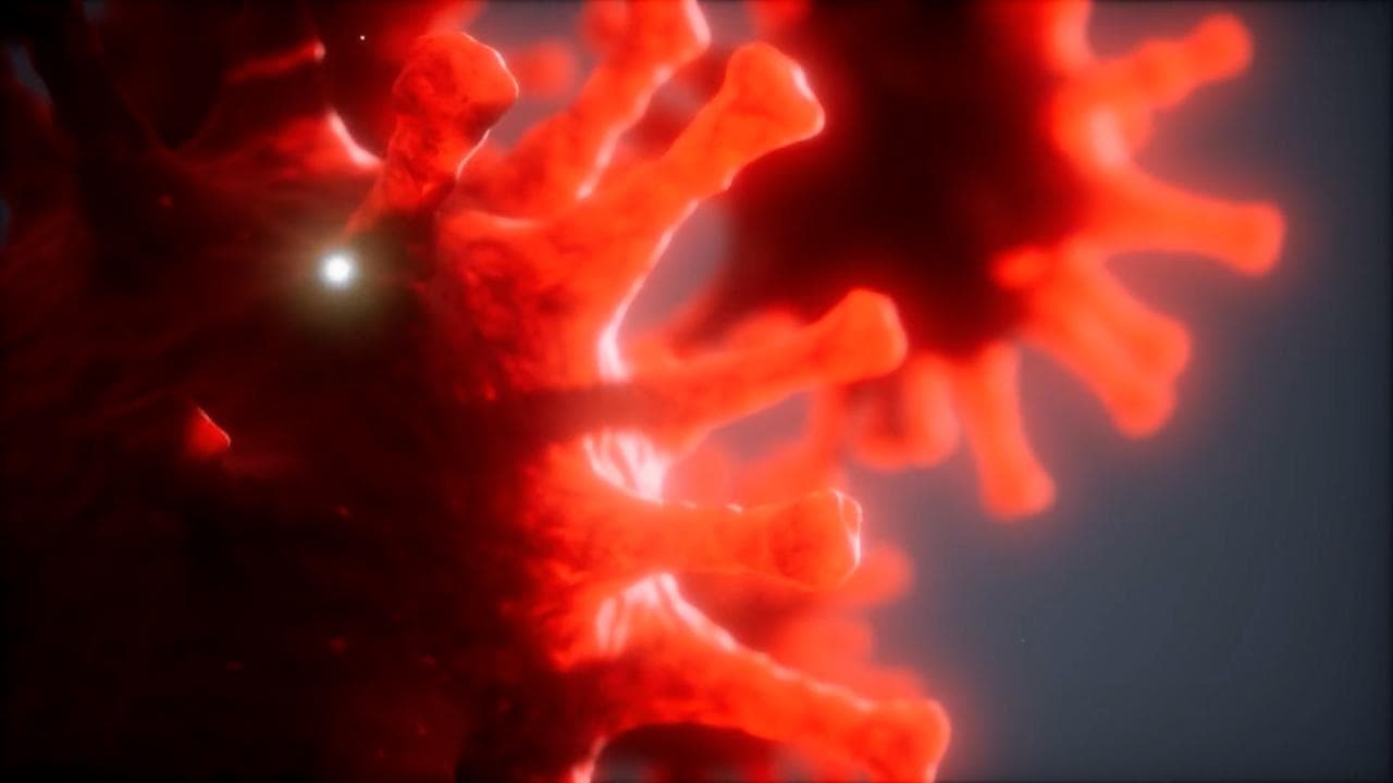 Coronavirus के नए वेरिएंट का खौफ बढ़ा, केन्द्र ने सभी राज्यों को कहा- सघन चेकिंग करें