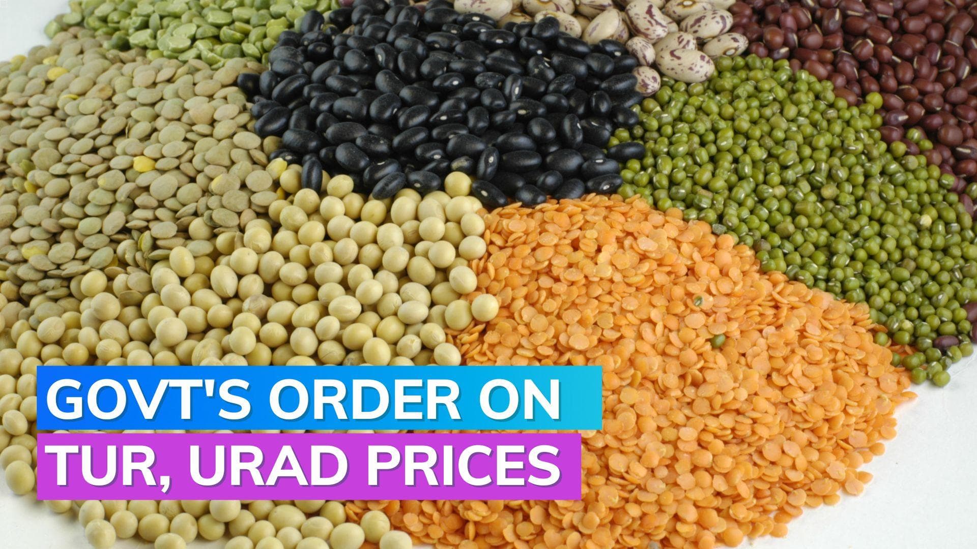 Tur, urad prices: Centre asks states to monitor prices continuously; here's why