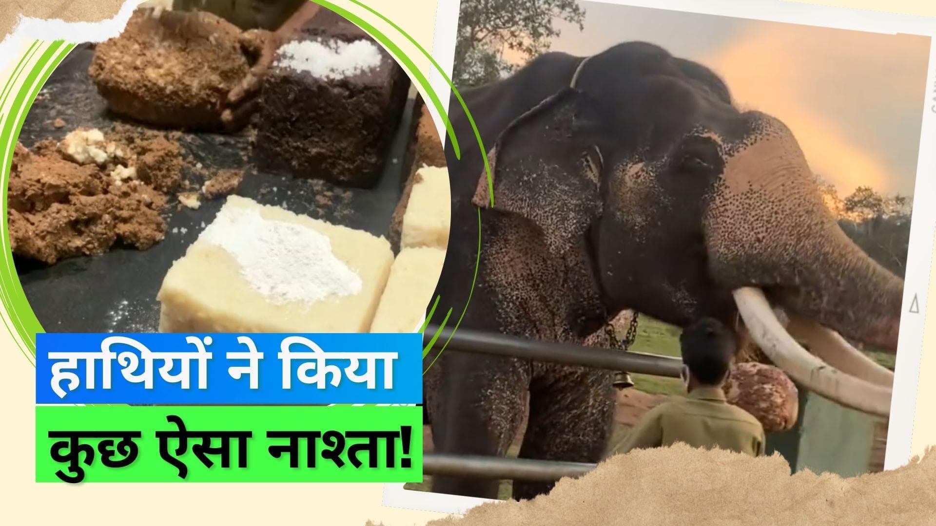 Viral Video: वायरल हुआ हाथियों के ब्रेकफास्ट करने का वीडियो, सोशल मीडिया यूज़र्स ने कहा- वाह!