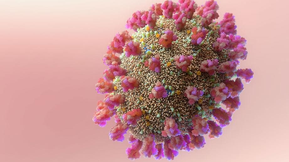 दक्षिण अफ्रीका का Gauteng बना नया वुहान! यहां 90% कोरोना मरीज नए वेरिएंट Omicron से संक्रमित 