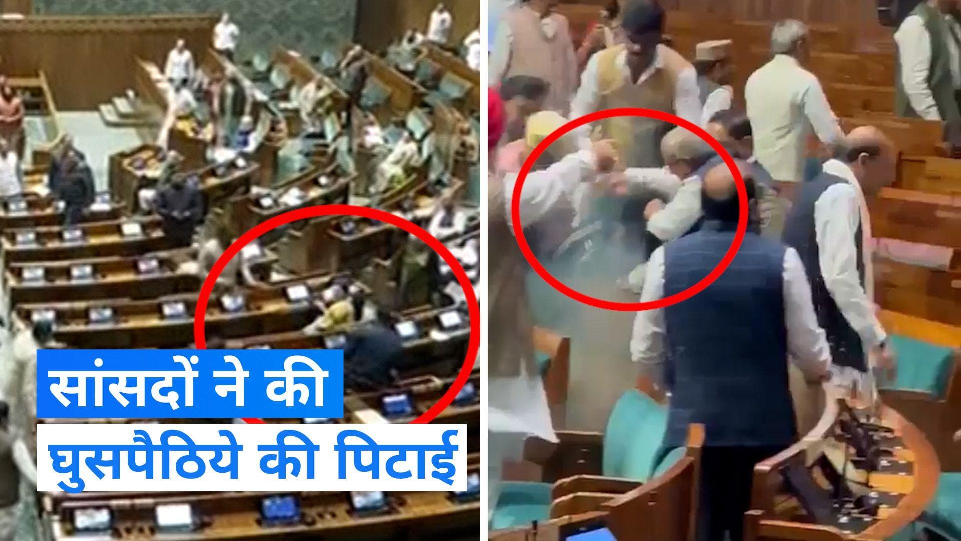 Parliament Security Breach:: जब सांसदों ने की घुसपैठिये की पिटाई, देखें Video  