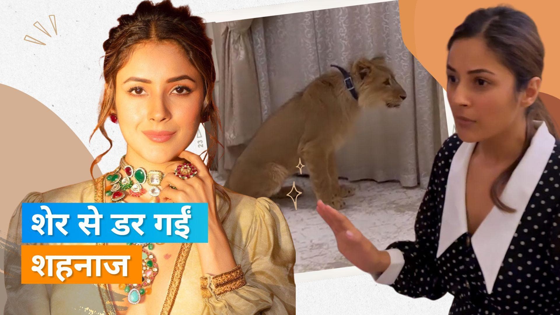 Shehnaaz Gill की शेर को देख कर हुई डर से हालत खराब, एक्ट्रेस को आई मम्मी और वाहेगुरु की याद 