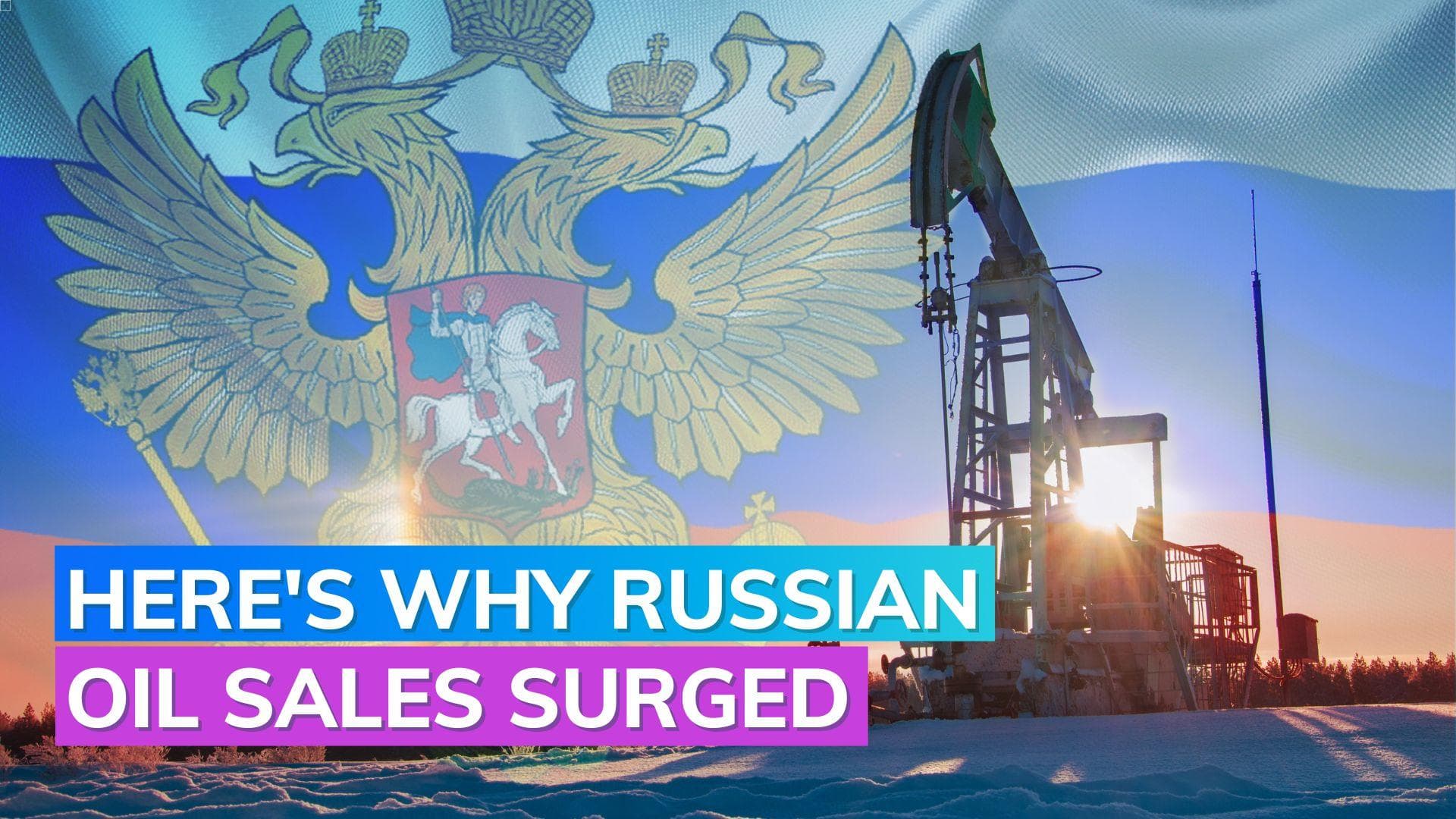 India, China bought 80% of Russia's oil in May: IEA