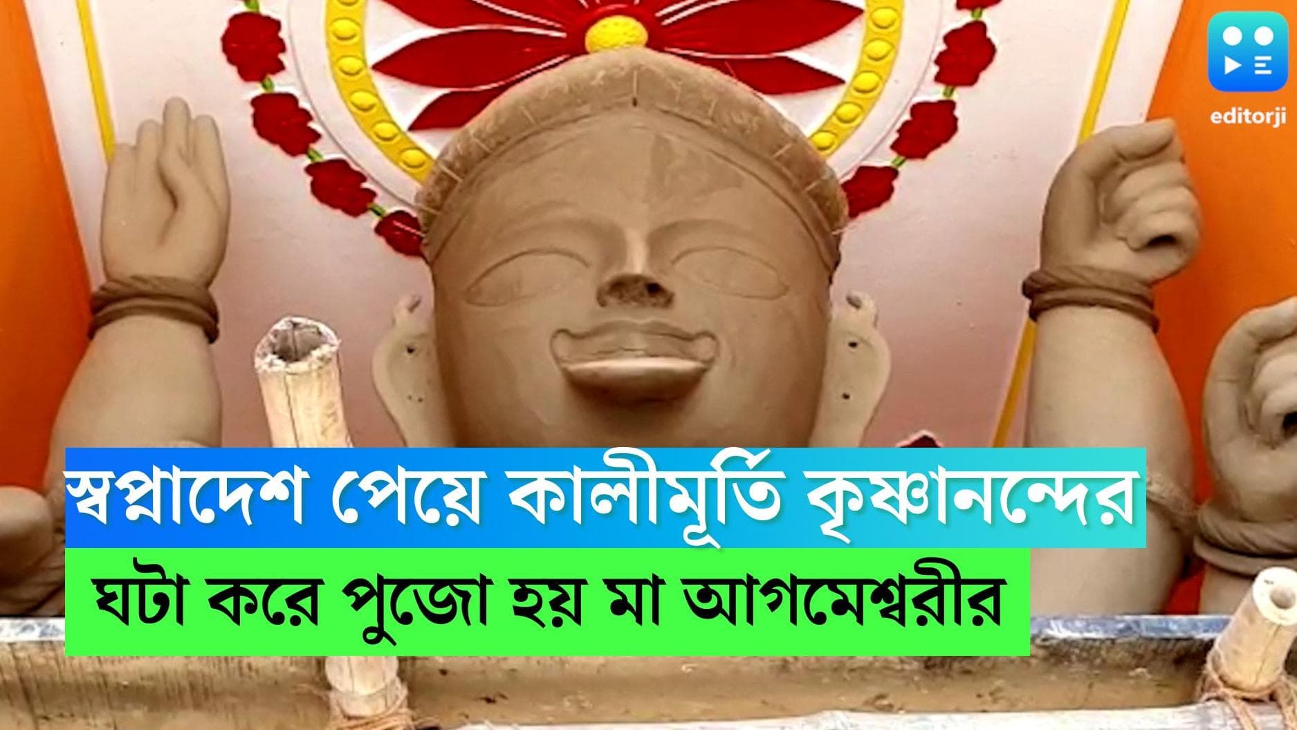 Agameswari Kali: দেবীর স্বপ্ন পেয়ে কালীমূর্তি গড়েন কৃষ্ণানন্দ, শান্তিপুরে ঘটা করে পুজো হয় মা আগমেশ্বরীর