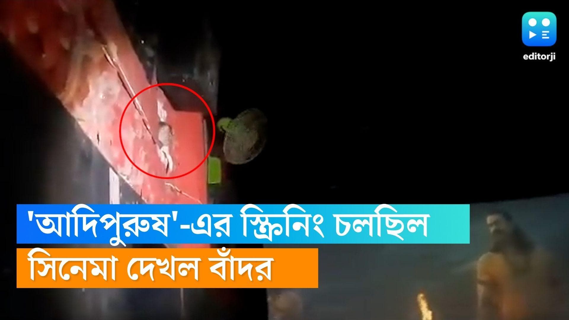 Adipurush: ভগবান তাহলে সত্যিই দেখছেন? 'আদিপুরুষ'-এর স্ক্রিনিং-এ হলে ঢুকে পড়ল হনুমান, ভাইরাল সেই ভিডিয়ো