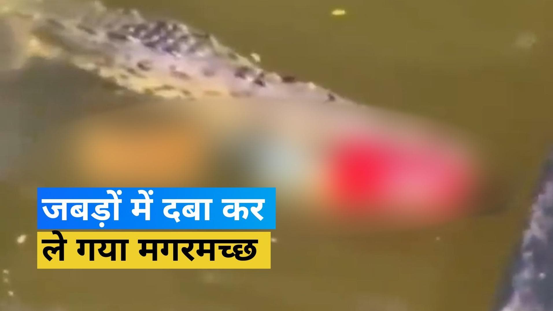 Viral Video: कोस्टारिका के फुटबॉलर को घसीटकर ले गया मगरमच्छ, खौफनाक वीडियो देख कांप जाएगी रूह 