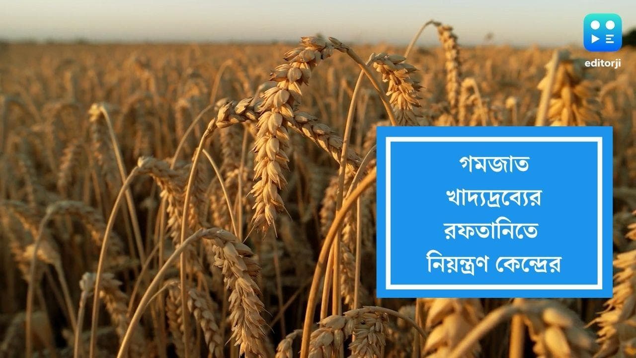 wheat products exports:গম রফতানি নিষিদ্ধ, এবার গমজাত খাদ্যদ্রব্যের রফতানিতেও নিয়ন্ত্রণ 