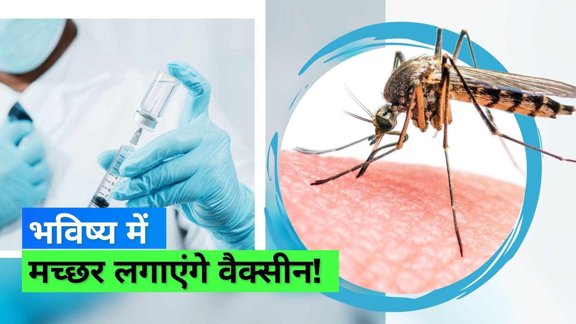 Malaria Vaccine: अब मच्छर ही लगाएंगे मलेरिया की वैक्सीन, जानिए कैसे