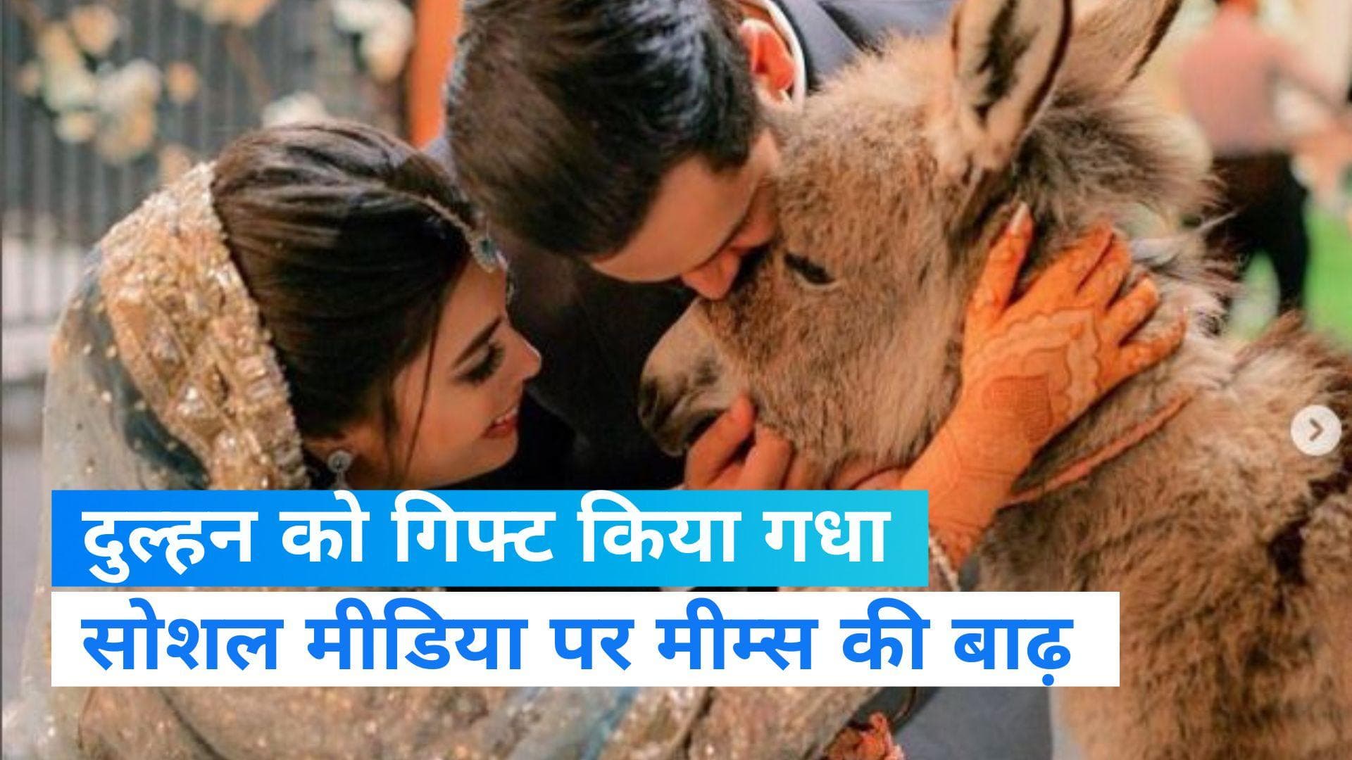 Pakistan News: चर्चा में पाकिस्तान की ये शादी, दूल्हे ने दुल्हन को गिफ्ट किया 'गधा' 