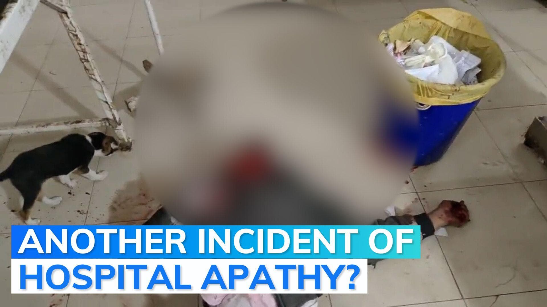 Face covered in blood, man lies on UP hospital floor as dog walks around