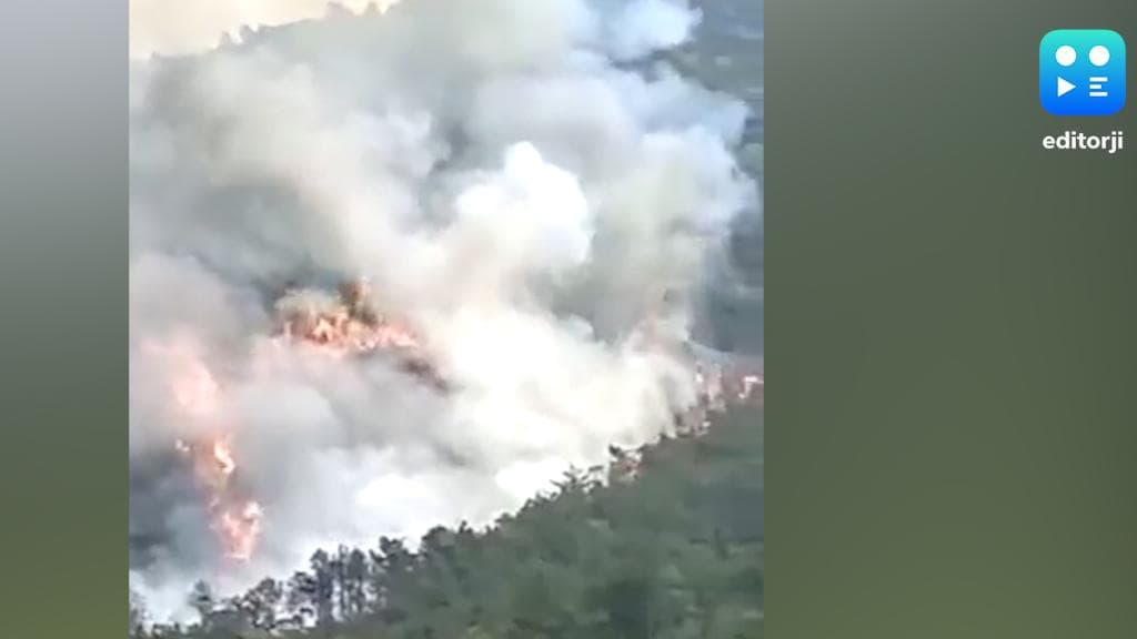 China Aircraft Crash: চিনে ১৩৩ জন যাত্রী নিয়ে ভেঙে পড়ল বোয়িং, তদন্তের নির্দেশ জিংপিঙের