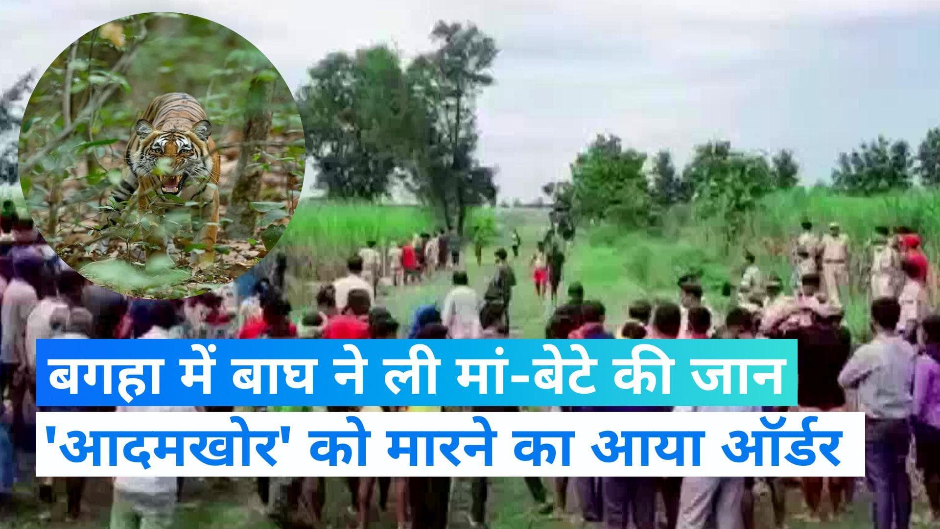 Bihar News: बगहा में आदमखोर बाघ ने ली मां-बेटे की जान, अब तक 9 लोगों की हो चुकी है मौत 