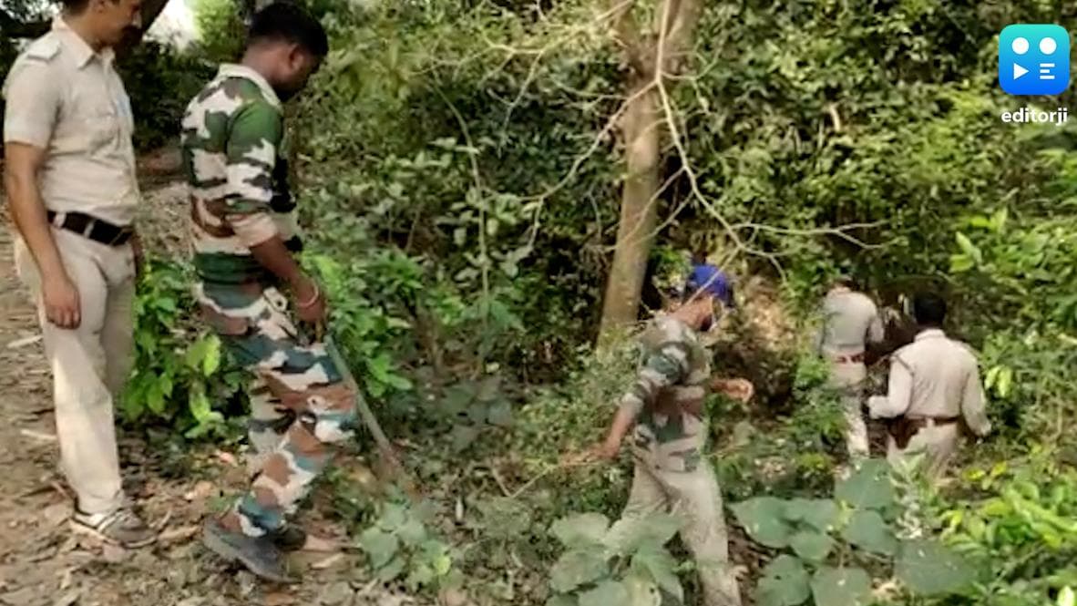 Birbhum Violence: বেআইনি অস্ত্রের খোঁজে লাভপুরের জঙ্গলে তল্লাশি রাজ্য পুলিশের