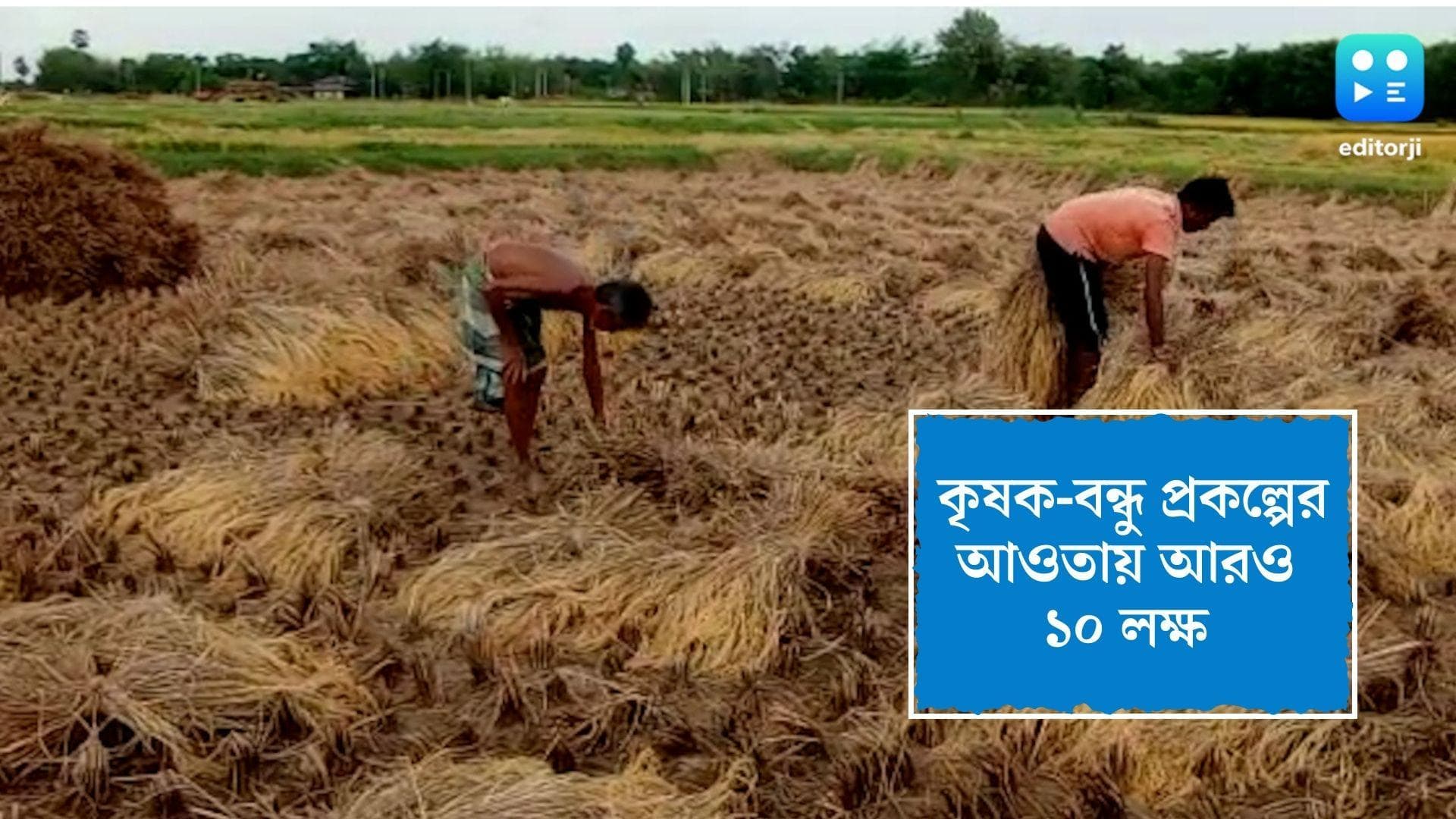 Mamata Banerjee: আরও ১০ লক্ষ কৃষককে আনা হল কৃষকবন্ধু প্রকল্পের আওতায়, মমতার এই প্রকল্পে খুশি কৃষকসমাজ