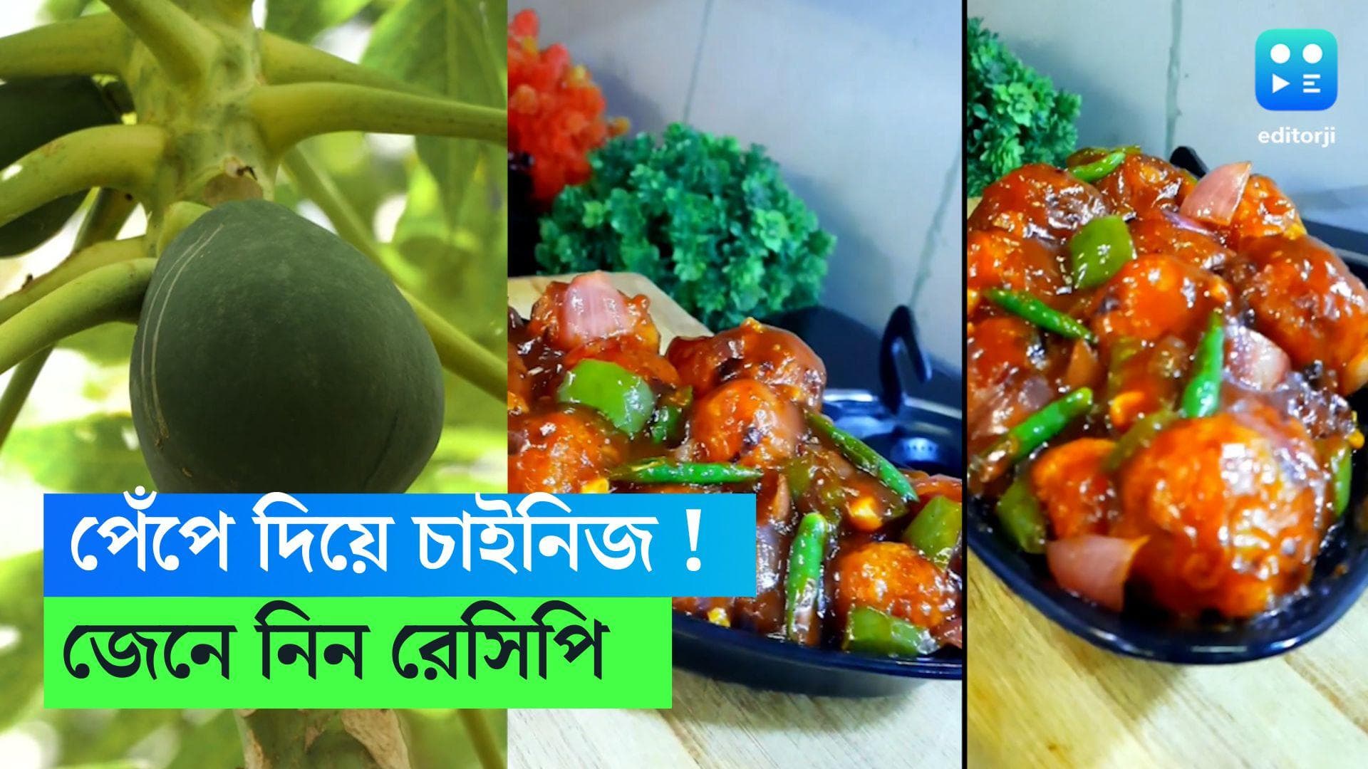 Papaya Chilli Ball: পেঁপেতে অরুচি? এভাবে বানিয়ে ফেলুন ভেজ চিলি বল, চেটেপুটে খাবে ৮ থেকে ৮০