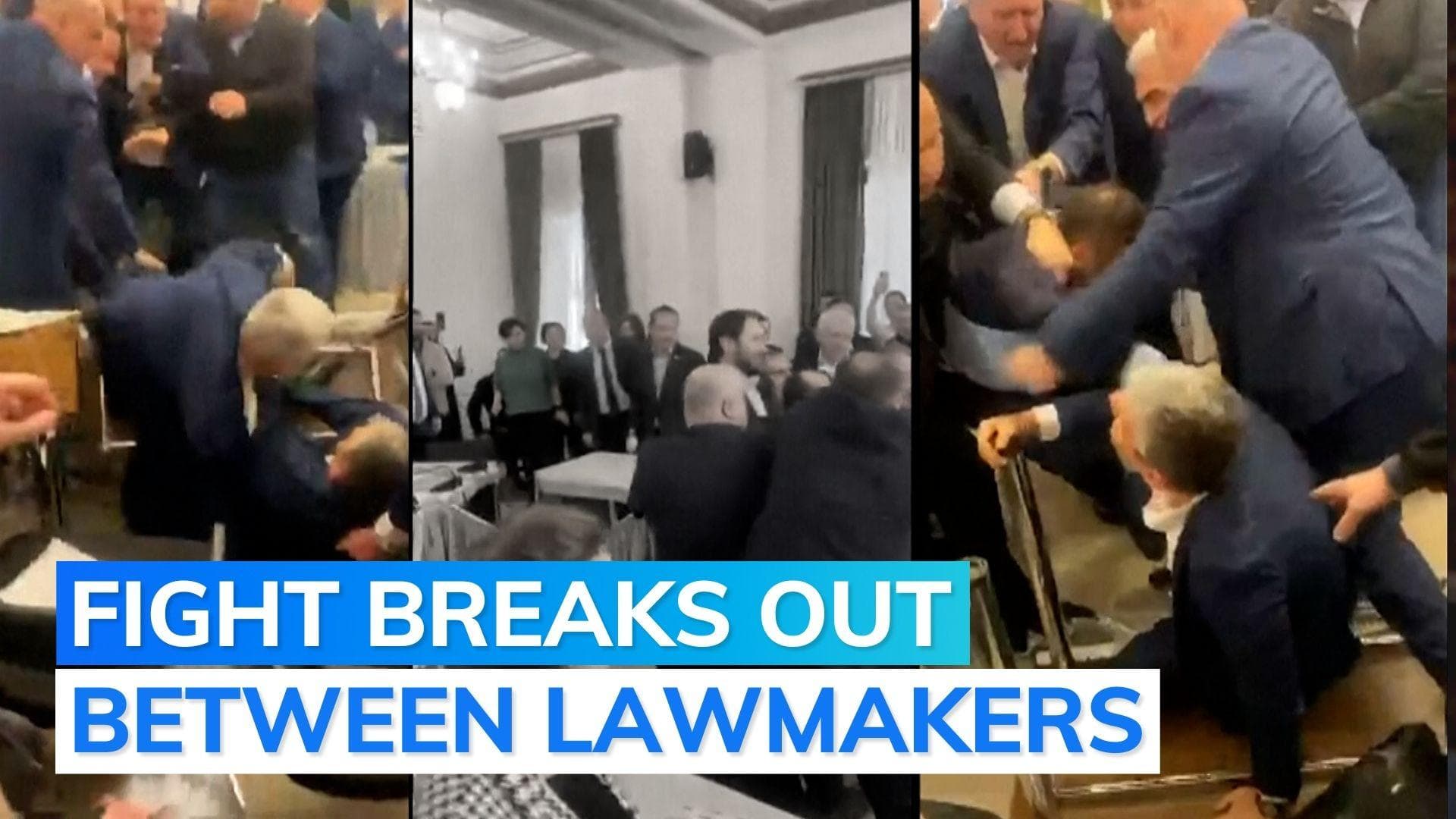 Watch: Scuffles in Georgian parliament over draft media law