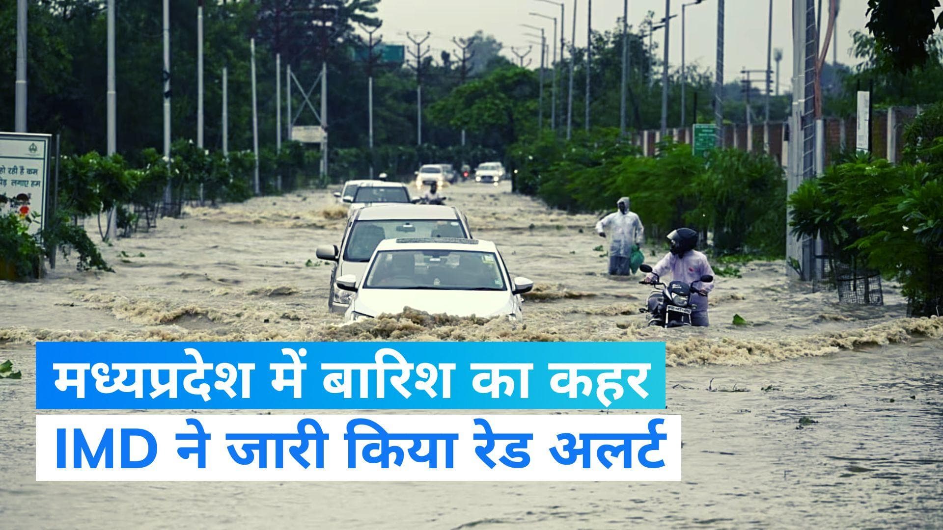 MP Weather Update: मध्यप्रदेश में बारिश का कहर, इंदौर में घरों और दुकानों में घुसा पानी, देखिए वीडियो...