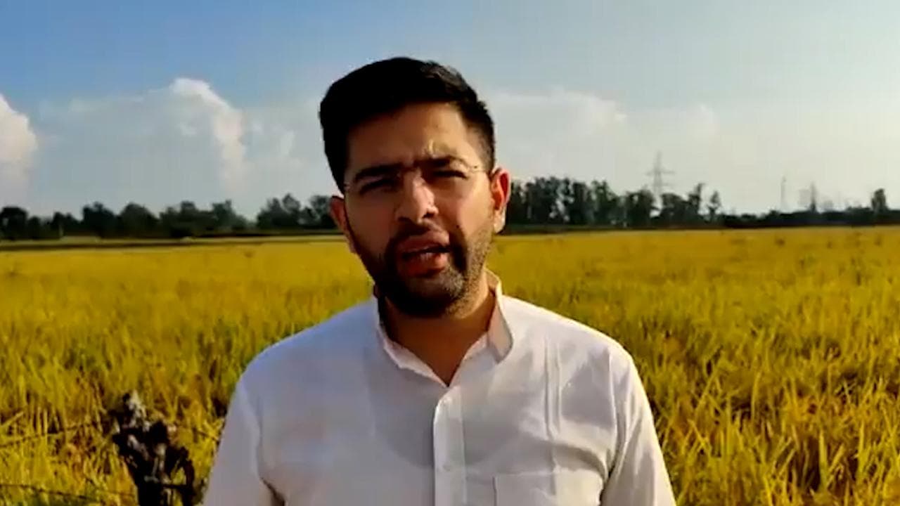 Punjab Congress के ताजा हालातों ने विपक्ष को दिया मुद्दा, AAP और बादल समेत सबके निशाने पर सिद्धू 