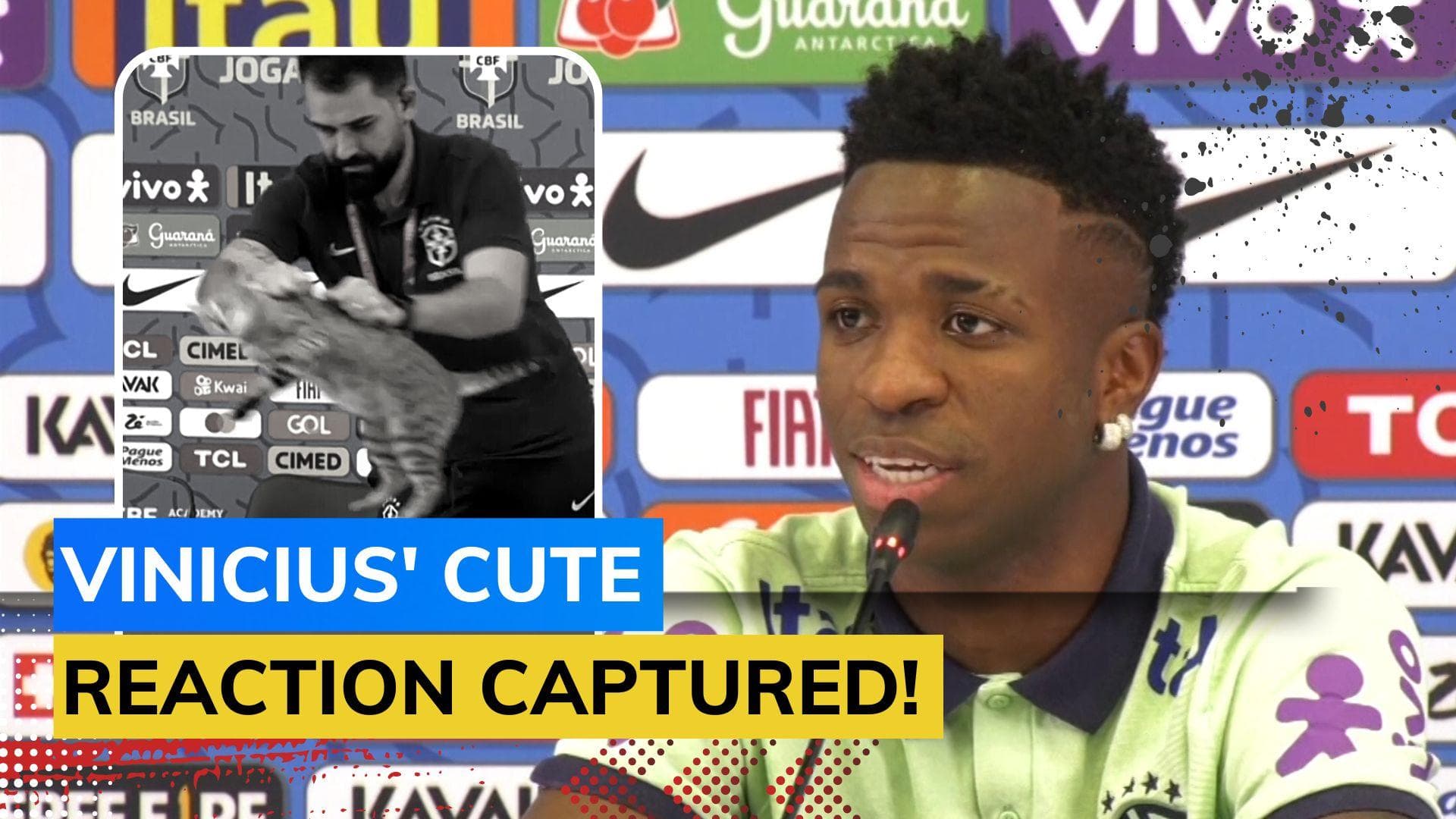 FIFA World Cup 2022- Watch! Cat interrupts Vinicius Jr's press conference