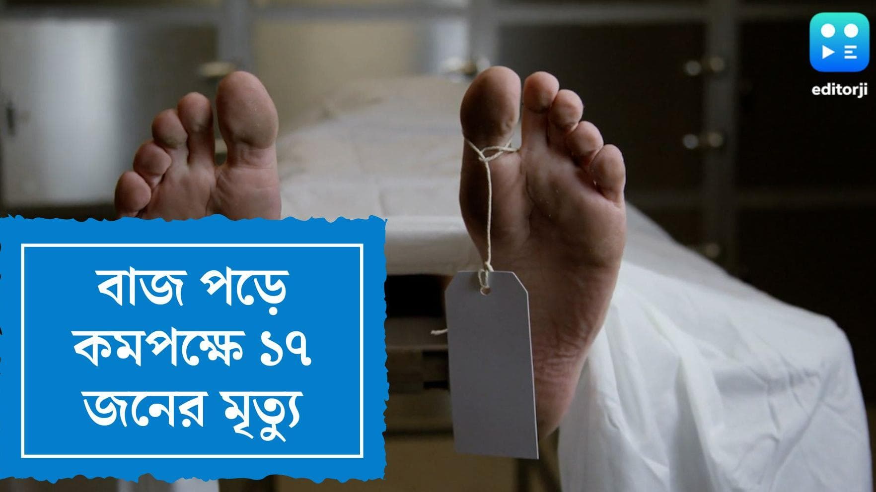 Bihar Lightning Death : বিহারের আট জেলায় বাজ পড়ে কমপক্ষে ১৭ জনের মৃত্যু, শোকপ্রকাশ নীতীশের