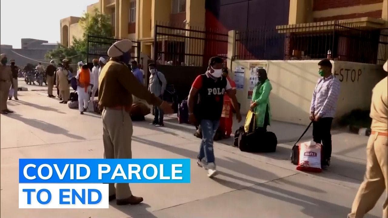 SC directs all convicts, undertrials released during pandemic to surrender in 15 days