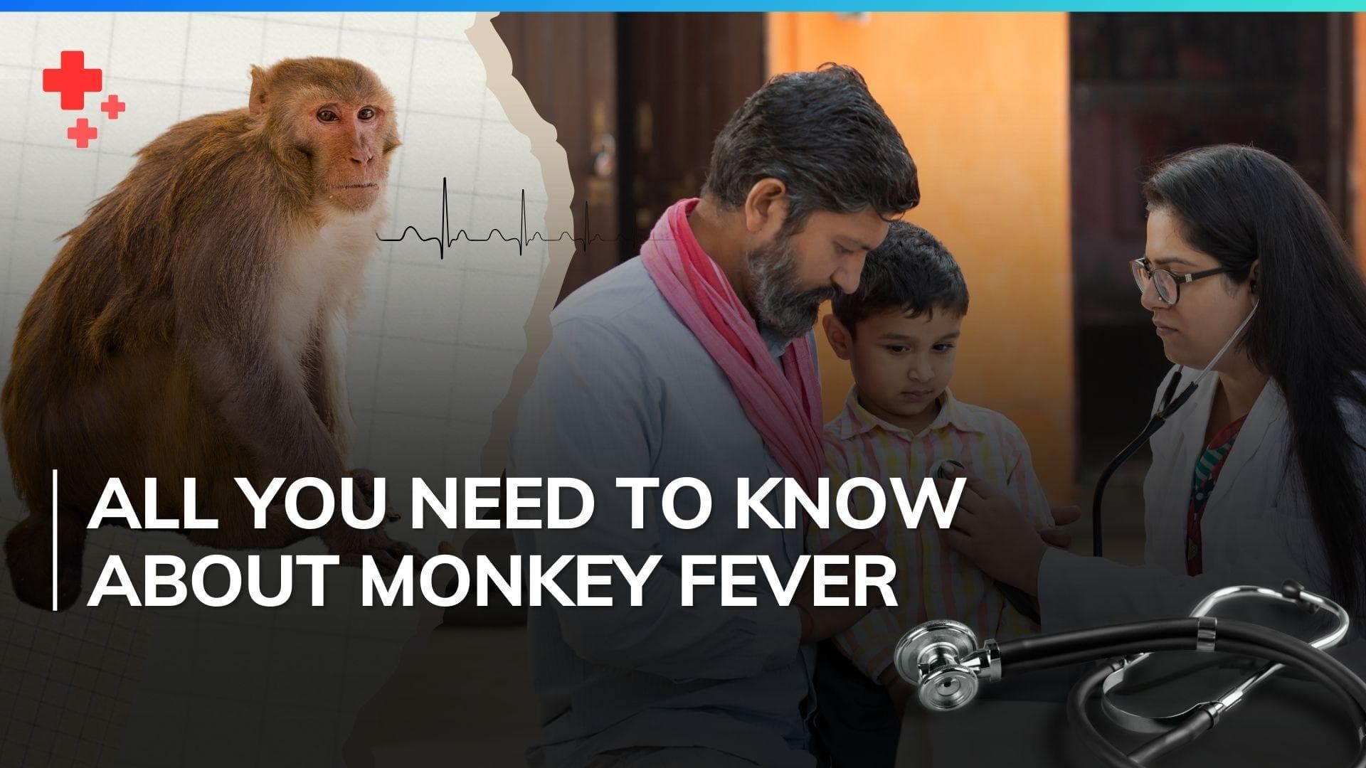 Monkey fever cases rise in Karnataka: Symptoms, treatment and preventive measures
