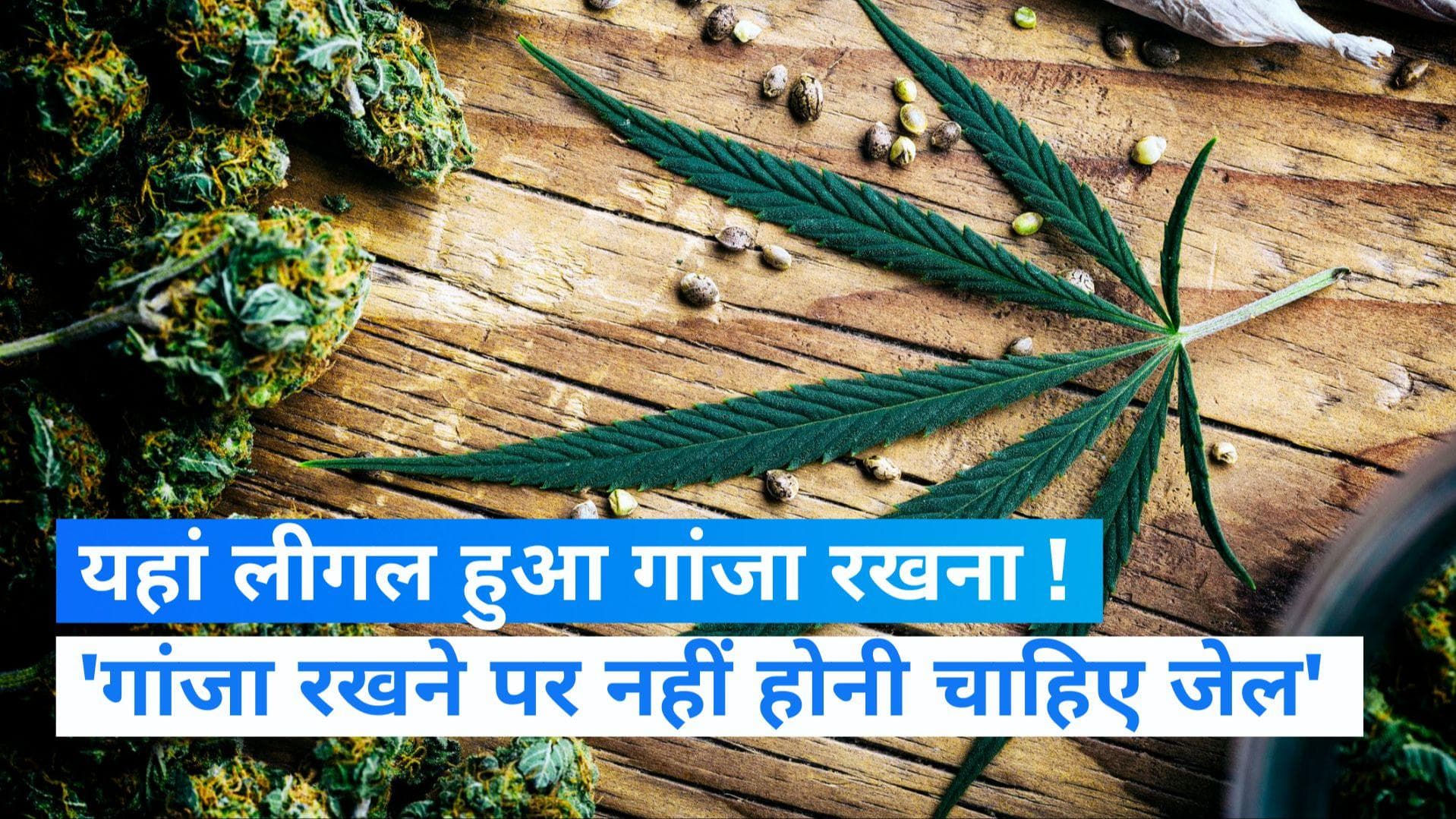 Marijuana: अब यहां गांजा रखने और इस्तेमाल करने पर नहीं होगी जेल, हजारों अपराधियों की होगी रिहाई