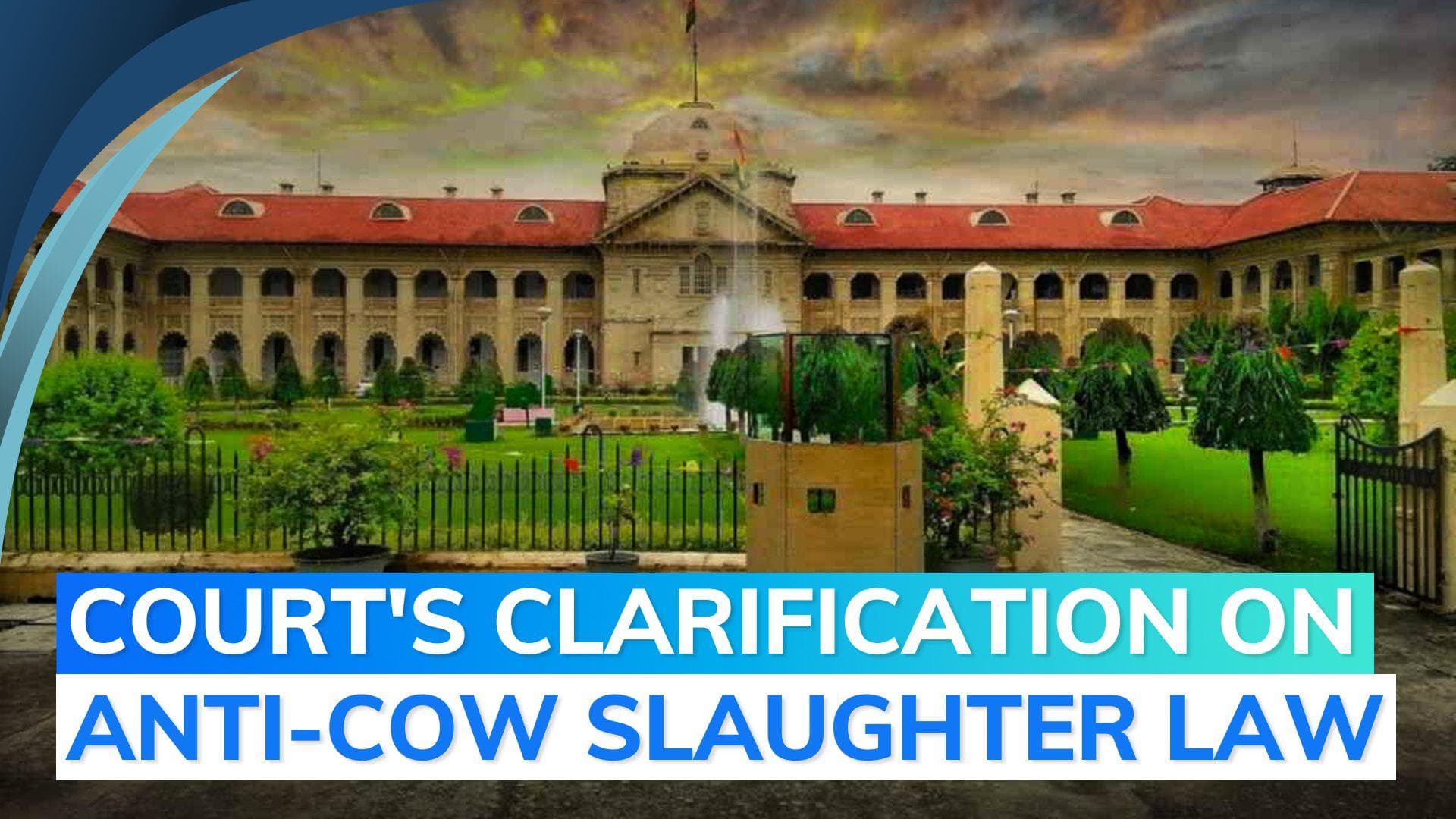 No ban on beef transportation under UP anti-cow slaughter act: High Court