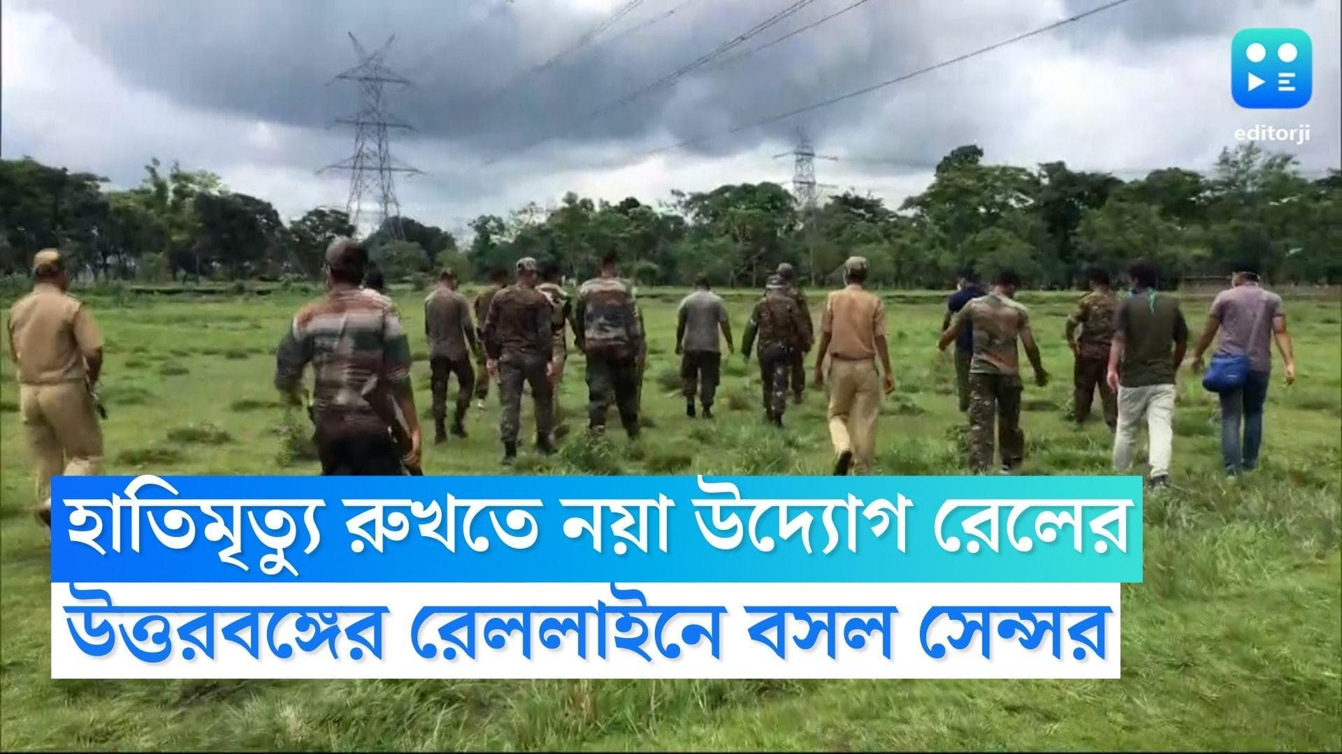 Elephant Alarm: উত্তরবঙ্গে হাতিমৃত্যু রুখতে নয়া উদ্যোগ রেলের, জঙ্গল লাগোয়া রেললাইনে বসল স্বয়ংক্রিয় সেন্সর