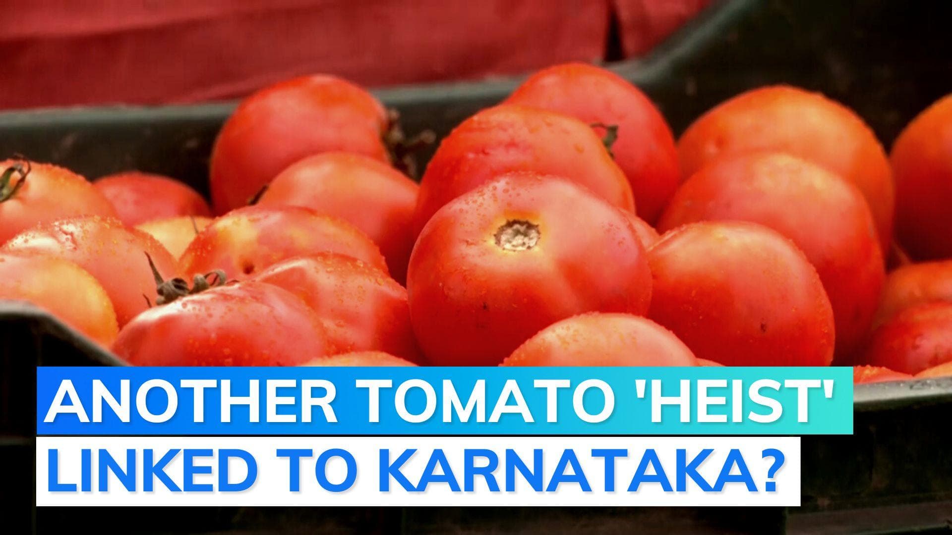 Truckload of tomatoes worth Rs21 lakh bound for Jaipur from Karnataka goes 'missing'