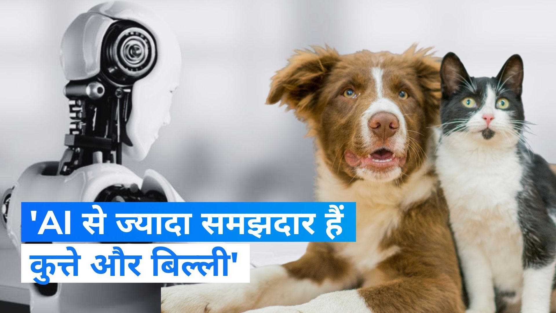 Artificial intelligence: 'कुत्ते और बिल्ली AI से ज्यादा समझदार'! आर्टिफिशियल इंटेलिजेंस के हेड का बयान