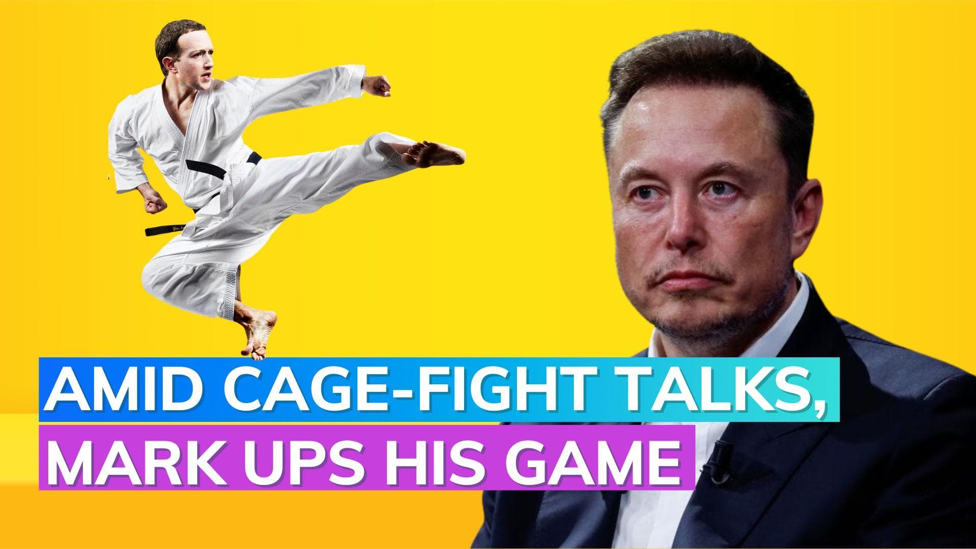 Cage fight between Elon Musk & Mark Zuckerberg: Fans worried about Musk as Zuckerberg earns blue belt 