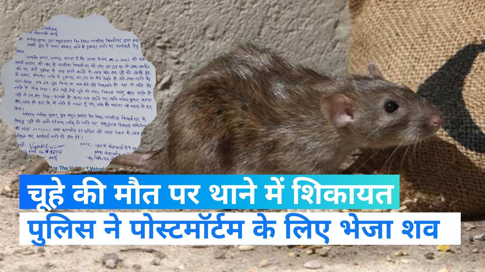 Viral video: चूहे को डुबोकर मारने के आरोप में युवक से पूछताछ, पोस्टमार्टम रिपोर्ट का इंतजार 