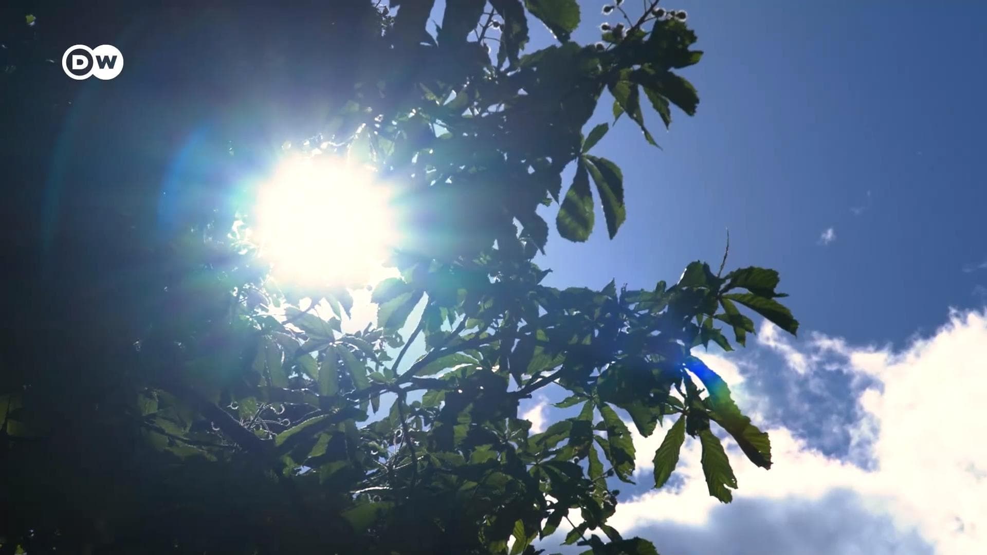 भारत में इतनी गर्मी क्यों पड़ रही है