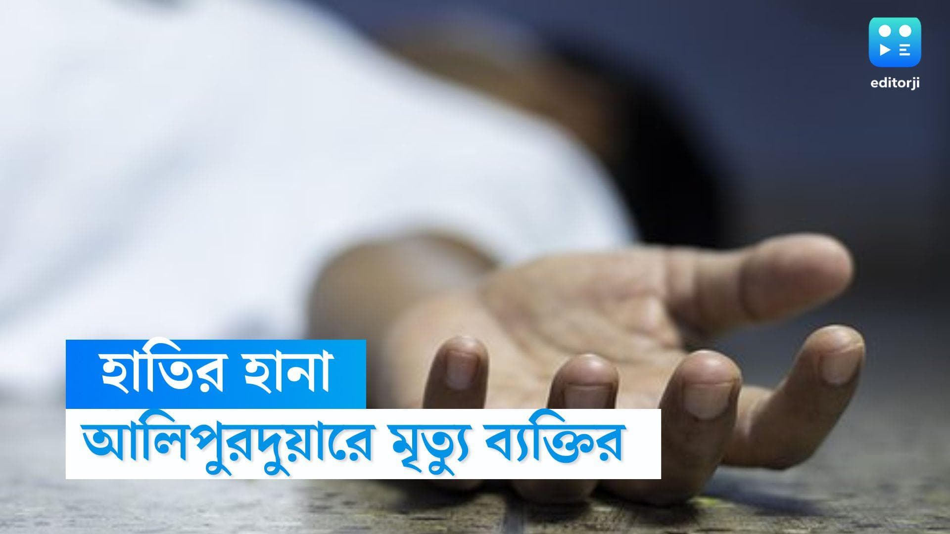 Elephant Attack: রাতে হাঁটতে বেরিয়ে হাতির হানায় মৃত্যু ব্যক্তির, শুঁড় দিয়ে পেঁচিয়ে হাত ছিঁড়ে নিল দাঁতাল