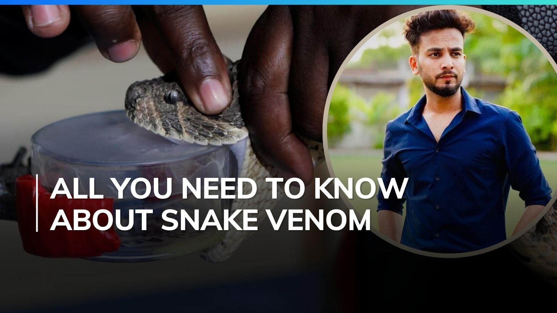 Elvish Yadav case: What is snake venom and how does it affect human body?