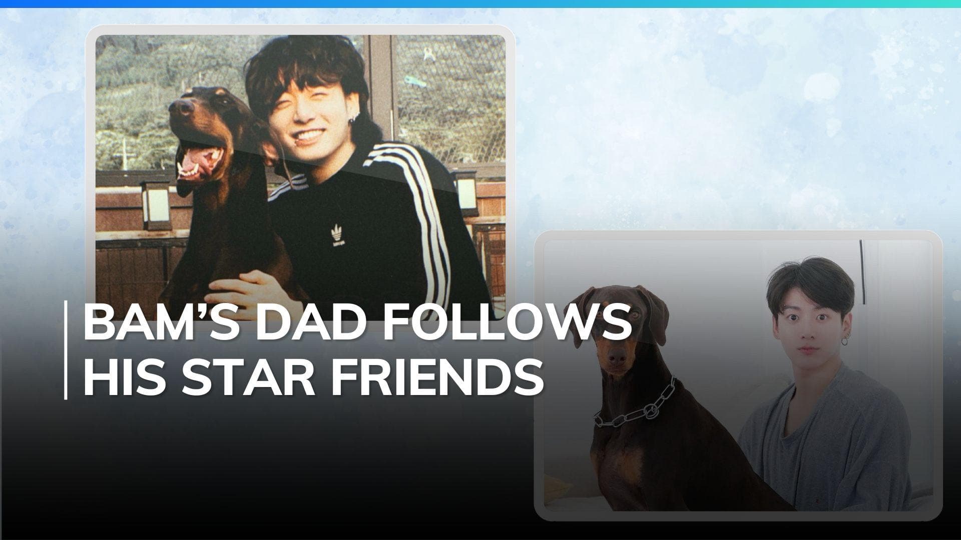 Jungkook of BTS adds his ‘97 liner BFFs to his pet dog’s Instagram following list 