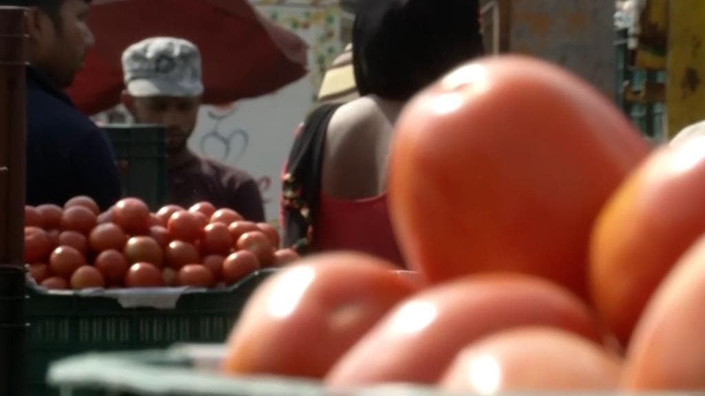 Tomato is the new petrol as prices surge to ₹120/kg
