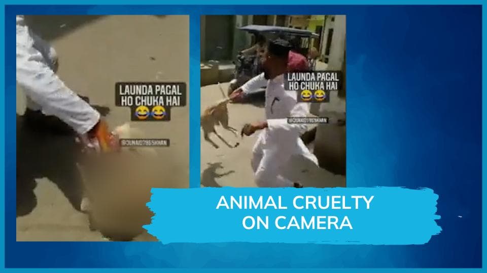 Watch: man picks dog by leg, spins it around wildly, then throws it on the ground; booked by UP police