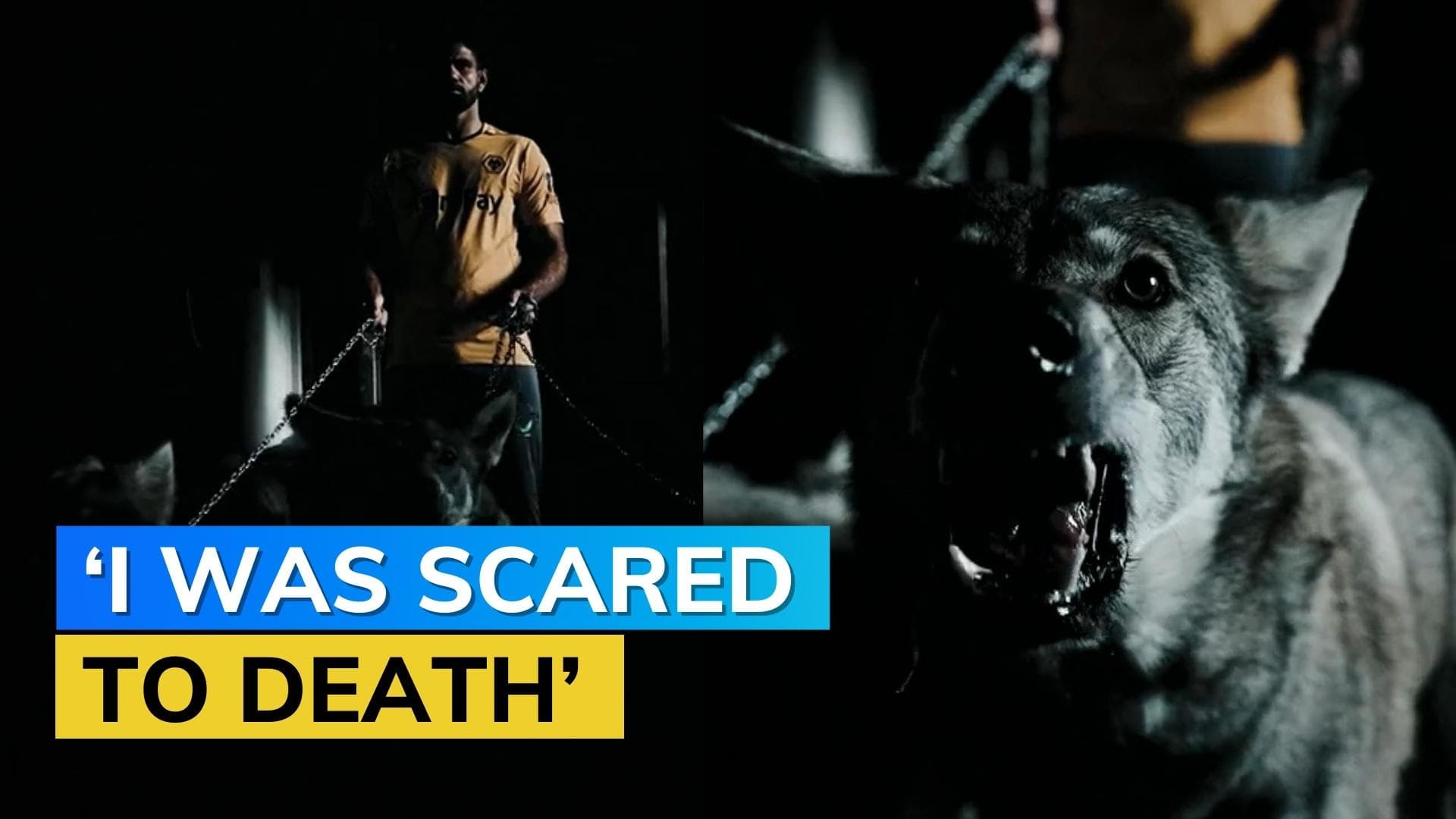 Watch! Diego Costa 'terrified' by handling real wolves in official announcement video