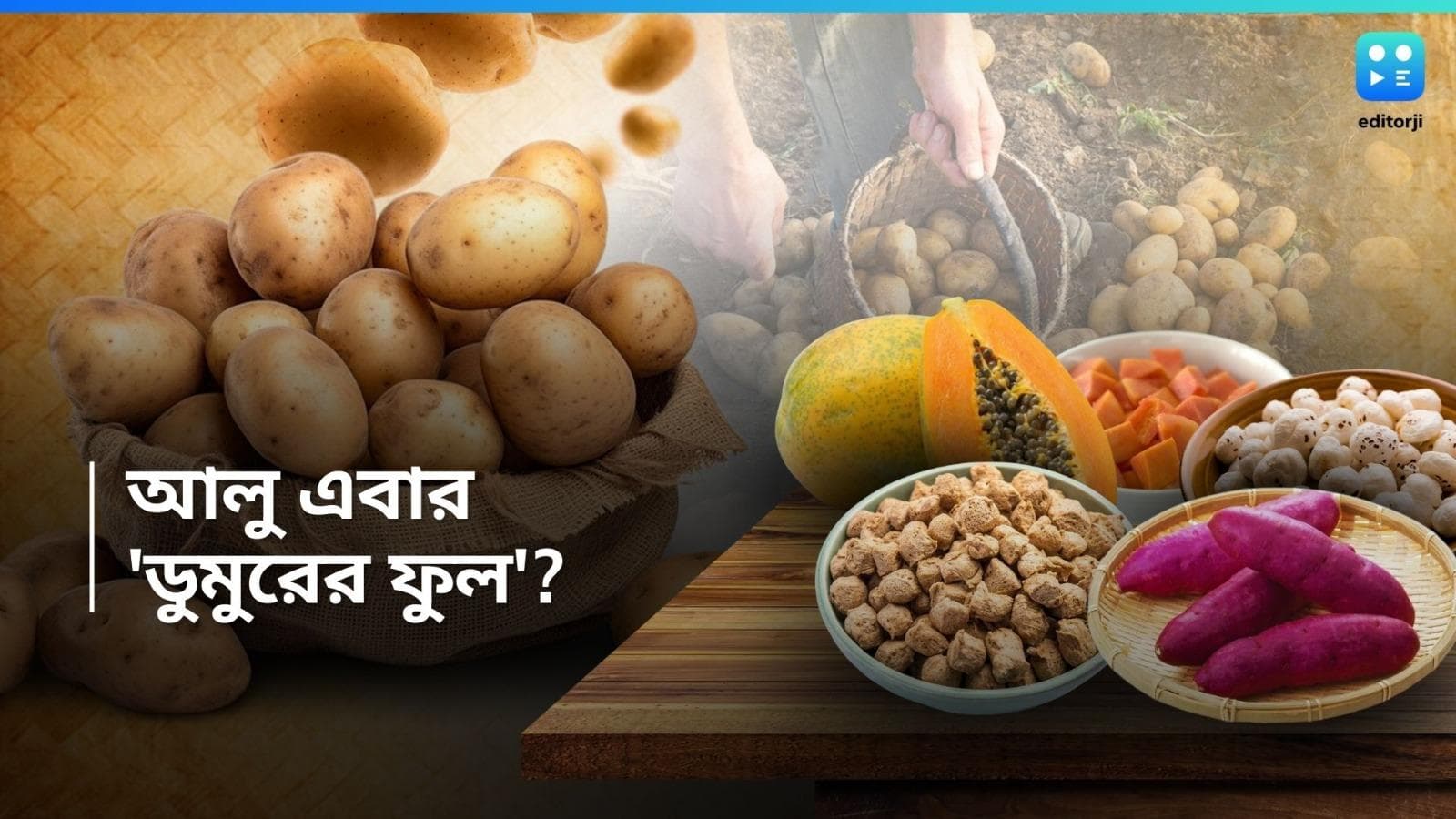 Potato Price : হিমঘর শুনশান, বাজারে কমছে জোগান, বাড়ছে দাম, আলুর বদলে কী খাবেন এবার ? বিকল্পগুলি দেখে নিন