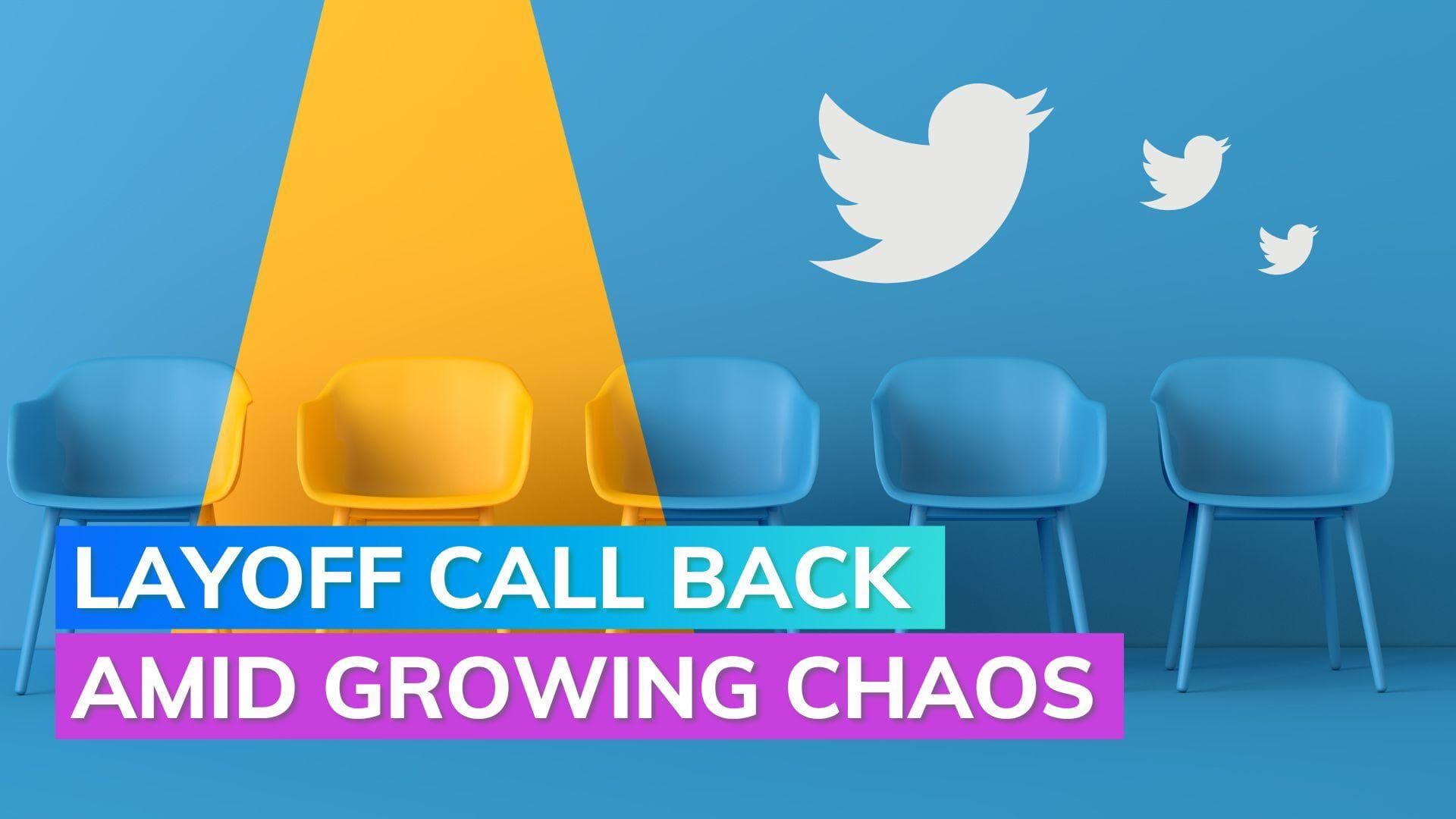 Twitter calls back its laid off employees; 'fired by mistake'